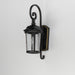 Dover Cast 1-Light Outdoor Wall Lantern