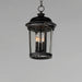 Dover Cast 3-Light Outdoor Hanging Lantern