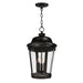 Dover Cast 3-Light Outdoor Hanging Lantern