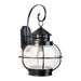 Portsmouth 1-Light Outdoor Wall Lantern