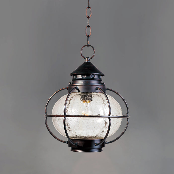 Portsmouth 1-Light Outdoor Hanging Lantern