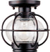 Portsmouth 1-Light Outdoor Ceiling Mount