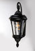Sentry 1-Light Outdoor Wall Sconce