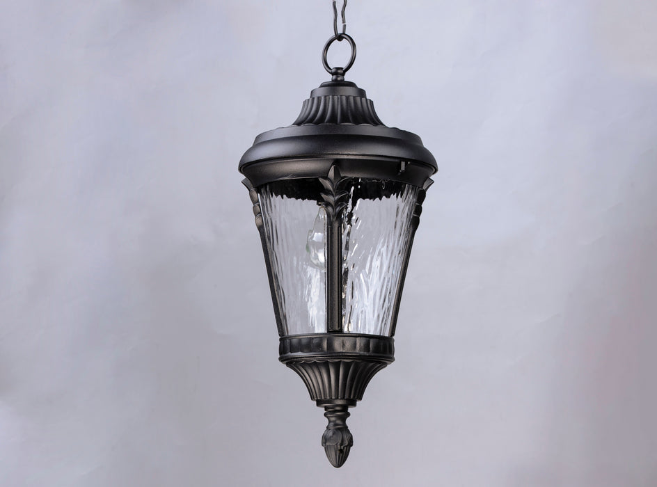 Sentry 1-Light Outdoor Hanging Pendant