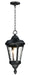 Sentry 1-Light Outdoor Hanging Pendant