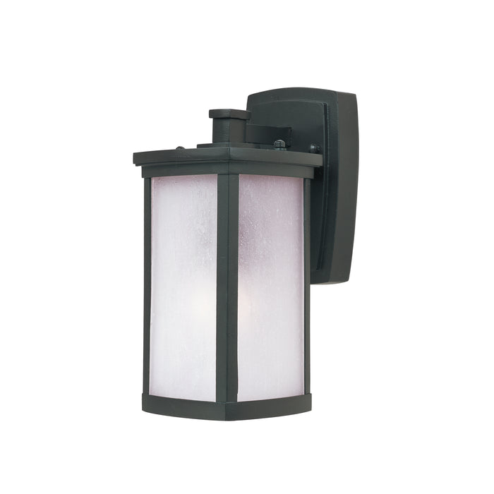 Terrace 1-Light Small Outdoor Wall Lantern