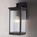 Terrace 1-Light Medium Outdoor Wall Lantern