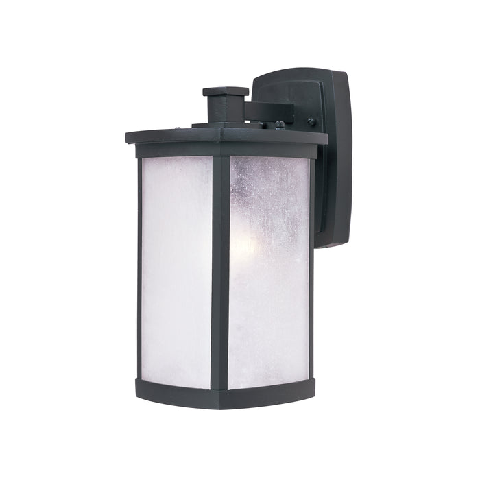 Terrace 1-Light Medium Outdoor Wall Lantern