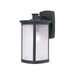 Terrace 1-Light Medium Outdoor Wall Lantern