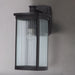 Terrace 1-Light Large Outdoor Wall Lantern