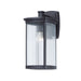 Terrace 1-Light Large Outdoor Wall Lantern