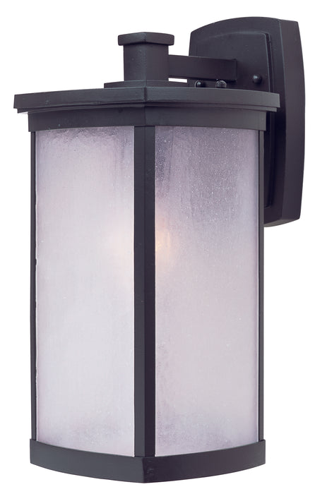 Terrace 1-Light Large Outdoor Wall Lantern