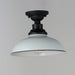 Granville 1-Light Flush Mount