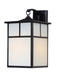 Coldwater 1-Light Outdoor Wall Lantern