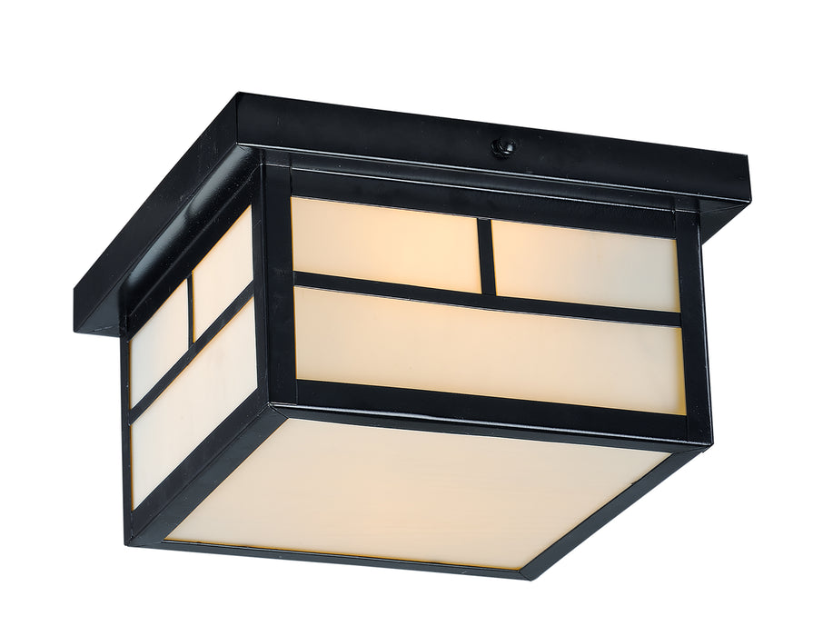 Coldwater 2-Light Outdoor Ceiling Mount