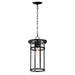 Clyde VX 1-Light Outdoor VX Hanging Pendant