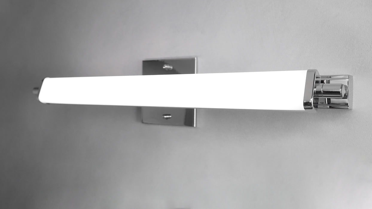 Director 24" LED Bath Vanity Light