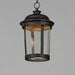 Dover LED Outdoor Hanging Lantern