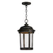 Dover LED Outdoor Hanging Lantern
