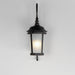 Dover LED 1-Light Outdoor Wall Lantern