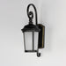 Dover LED 1-Light Outdoor Wall Lantern