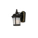 Dover LED 1-Light Outdoor Wall Lantern