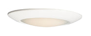 Diverse 13" LED Flush Mount 4000K