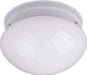 Essentials 1-Light Flush Mount