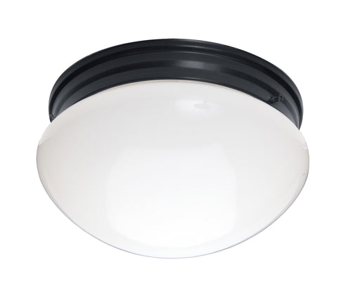 Essentials 2-Light Flush Mount