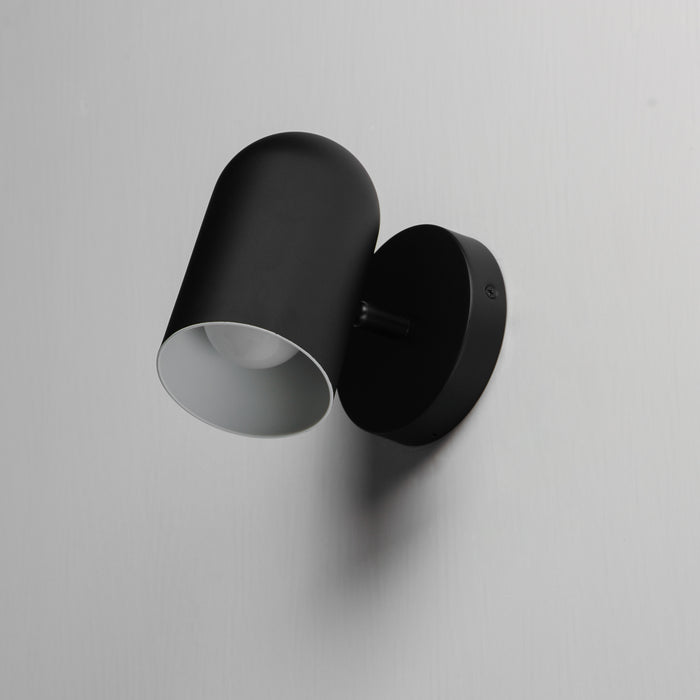 SpotLight Outdoor Sconce