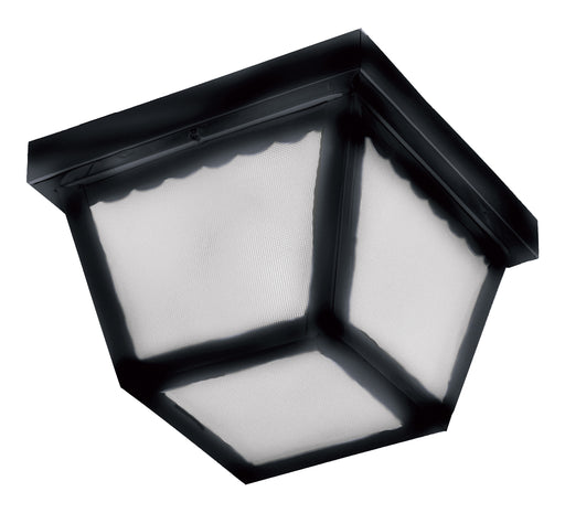 Outdoor Essentials 2-Light Outdoor Ceiling Mount