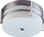 Luna 2-Light LED Outdoor Ceiling Mount