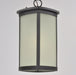 Terrace LED 1-Light Outdoor Hanging Lantern