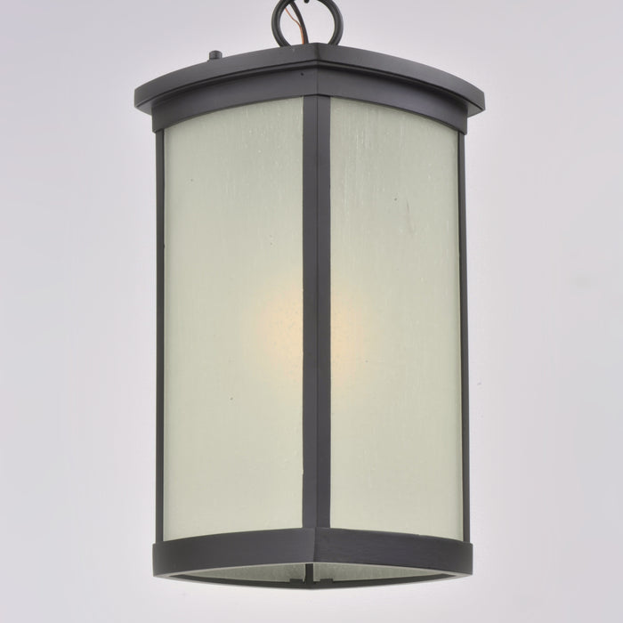 Terrace LED 1-Light Outdoor Hanging Lantern