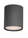 Lightray LED 1-Light Outdoor Flush Mount