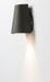 Mini 1-Light LED Outdoor Wall Sconce