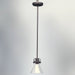 Seafarer 1-Light Pendant