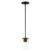 Sleek 1-Light Mini Pendant