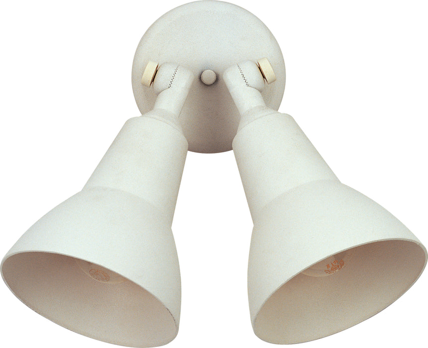 Spots 2-Light Outdoor Wall Mount